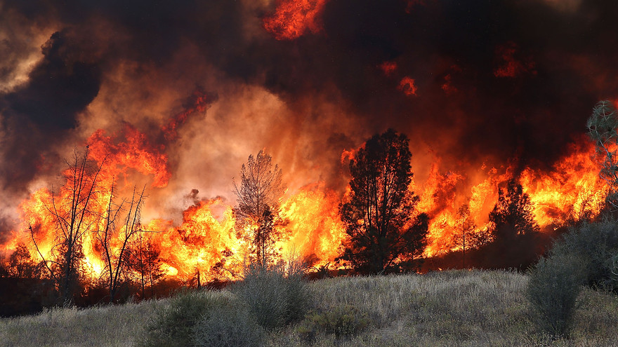 reasonale cause penalty abatement fire, casualty, natural disaster